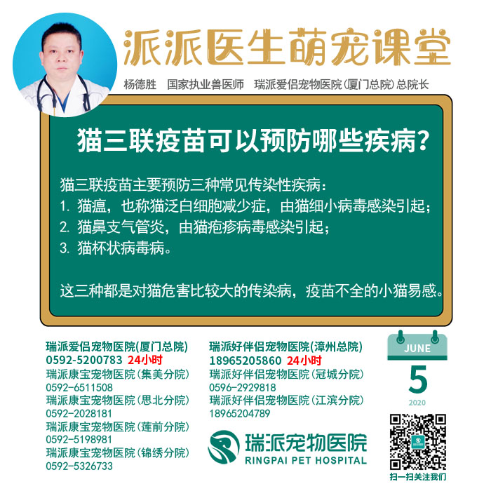 200605猫三联疫苗可以预防哪些疾病.jpg