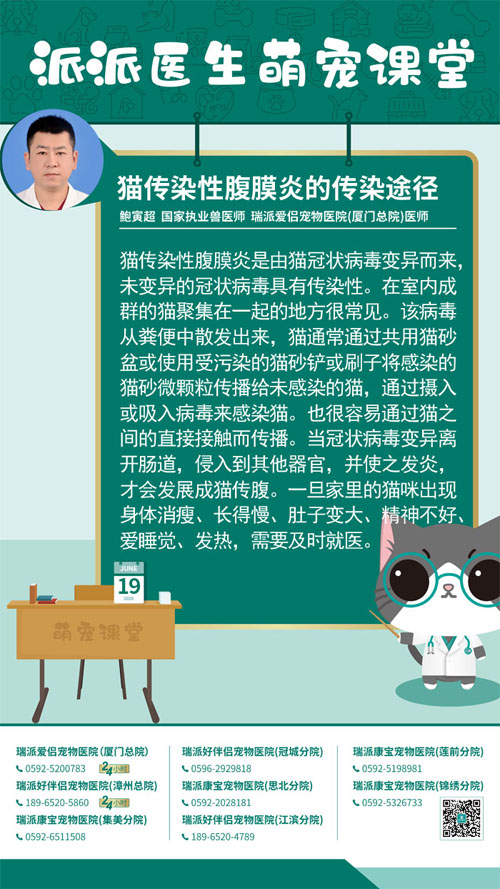 200619猫传染性腹膜炎的传染途径.jpg