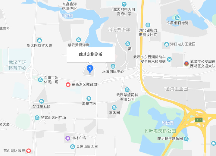 1580813542665179.jpg