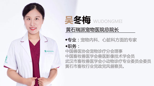 吴冬梅微信公众号简介图.jpg