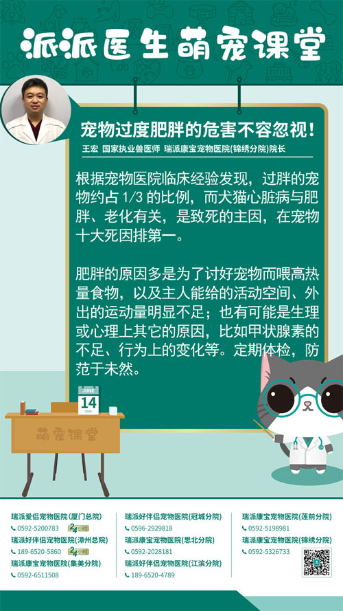 200614宠物过度肥胖的危害不容忽视！.jpg