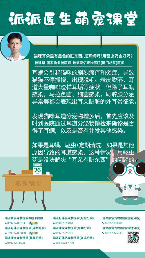 200626猫咪耳朵里有黑色的脏东西，是耳螨吗？用驱虫药会好吗？.jpg