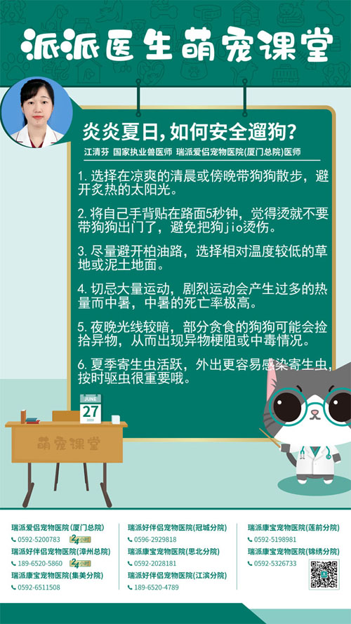 200627炎炎夏日，如何安全遛狗.jpg