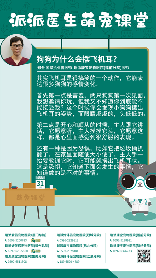 200731狗狗为什么会摆飞机耳？.jpg