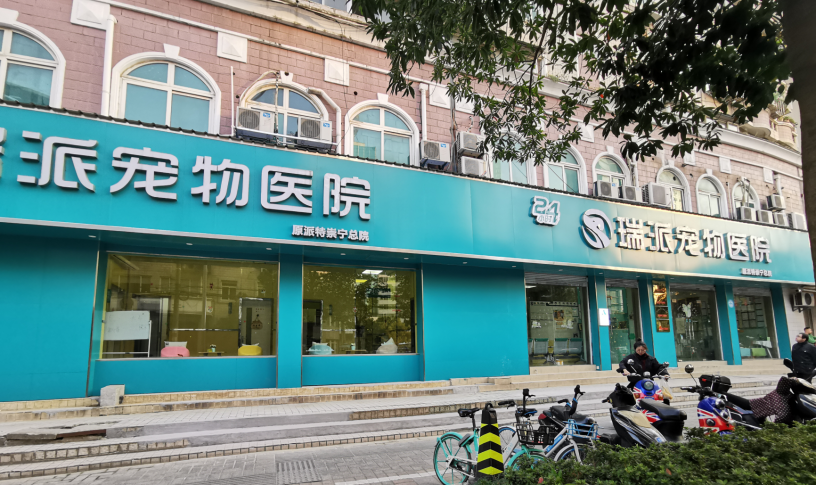 1派特崇宁.png