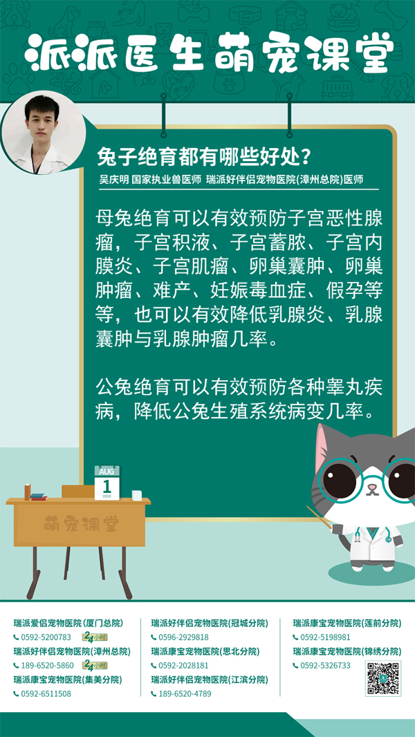 200801兔子绝育都有哪些好处？.jpg