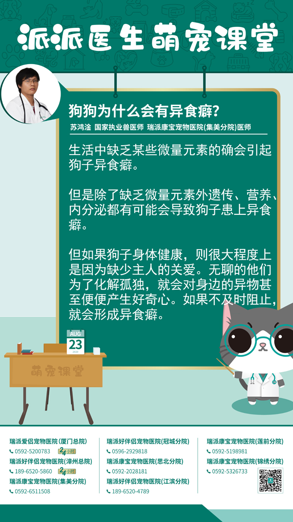 200823狗狗为什么会有异食癖？.jpg