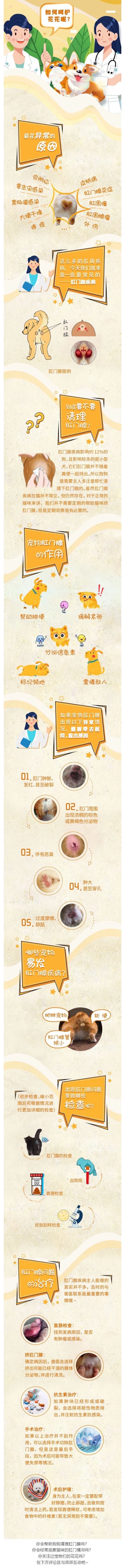 猫狗社死现场_羞耻大赏，在那菊花盛开的地方！_壹伴长图1_看图王.jpg