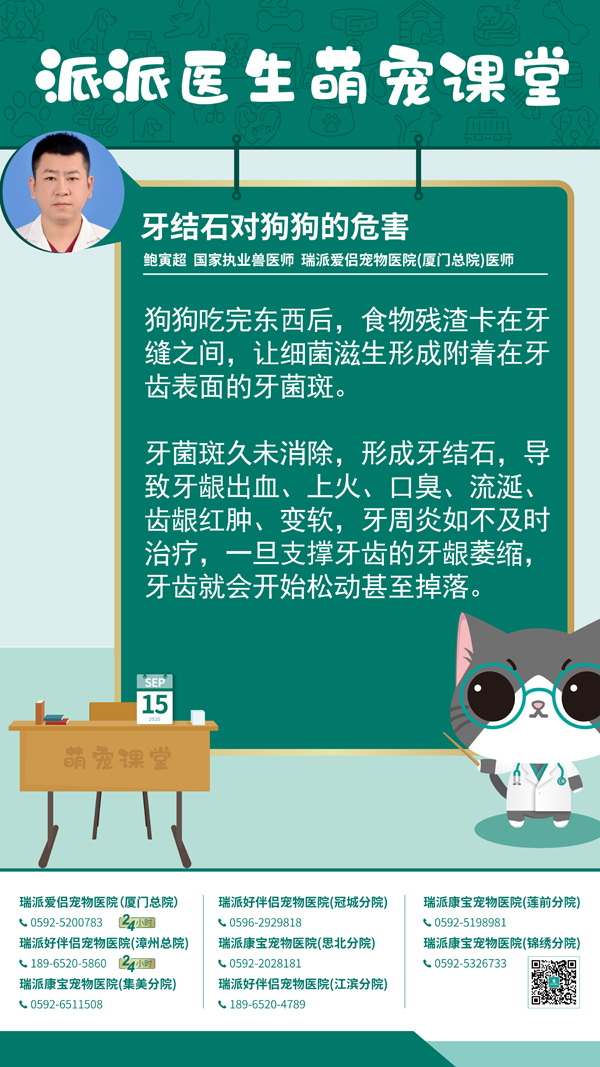 200915牙结石对狗狗的危害.jpg