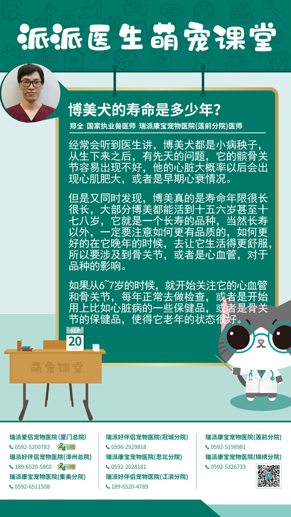 200920博美犬的寿命是多少年？.jpg