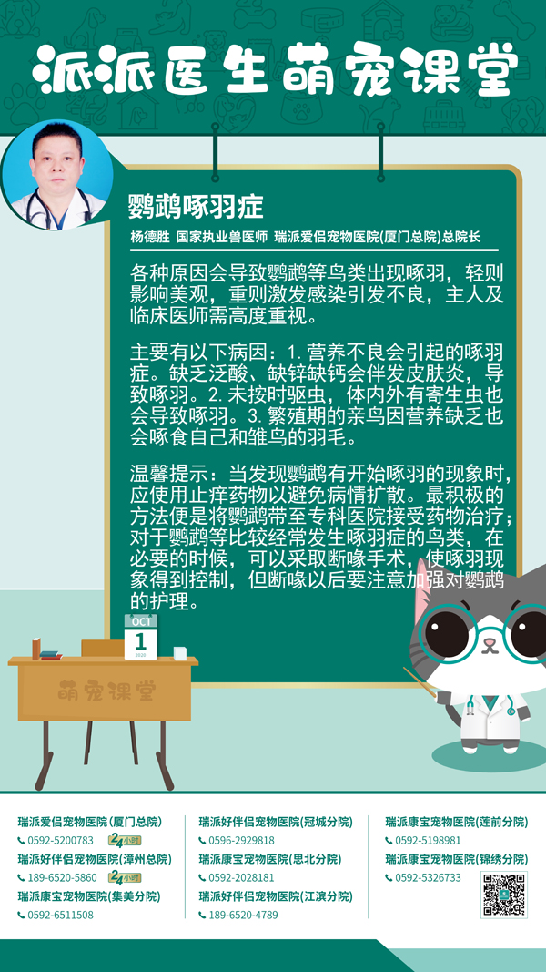 201001鹦鹉啄羽症.jpg