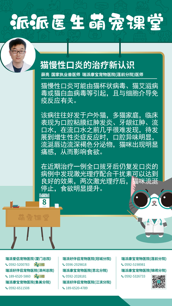 201008猫慢性口炎的治疗新认识.jpg