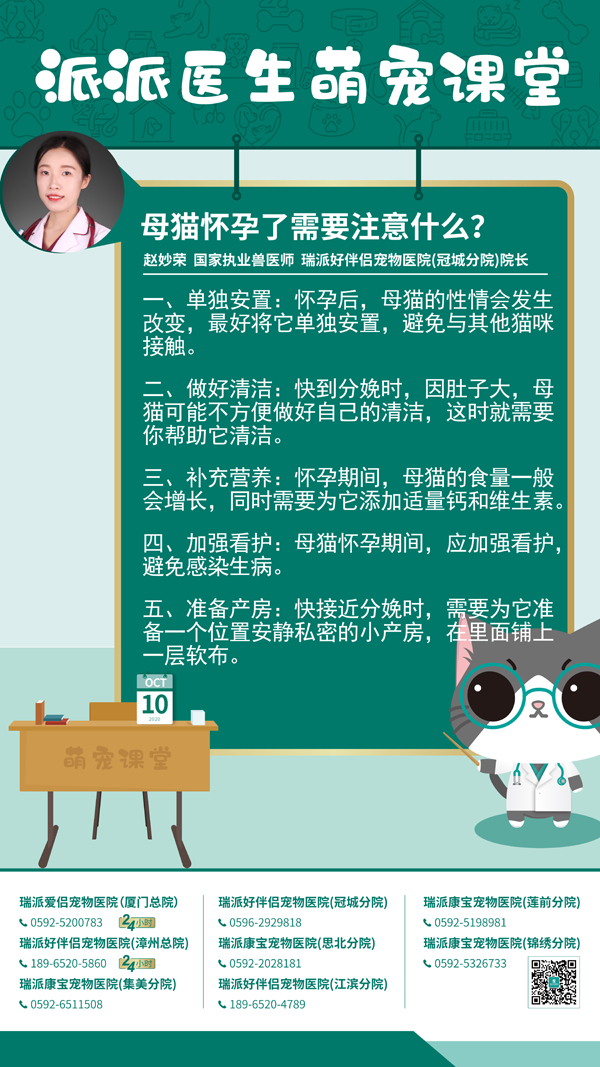 201010母猫怀孕了需要注意什么？.jpg