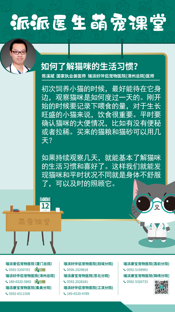 201012如何了解猫咪的生活习惯？.jpg