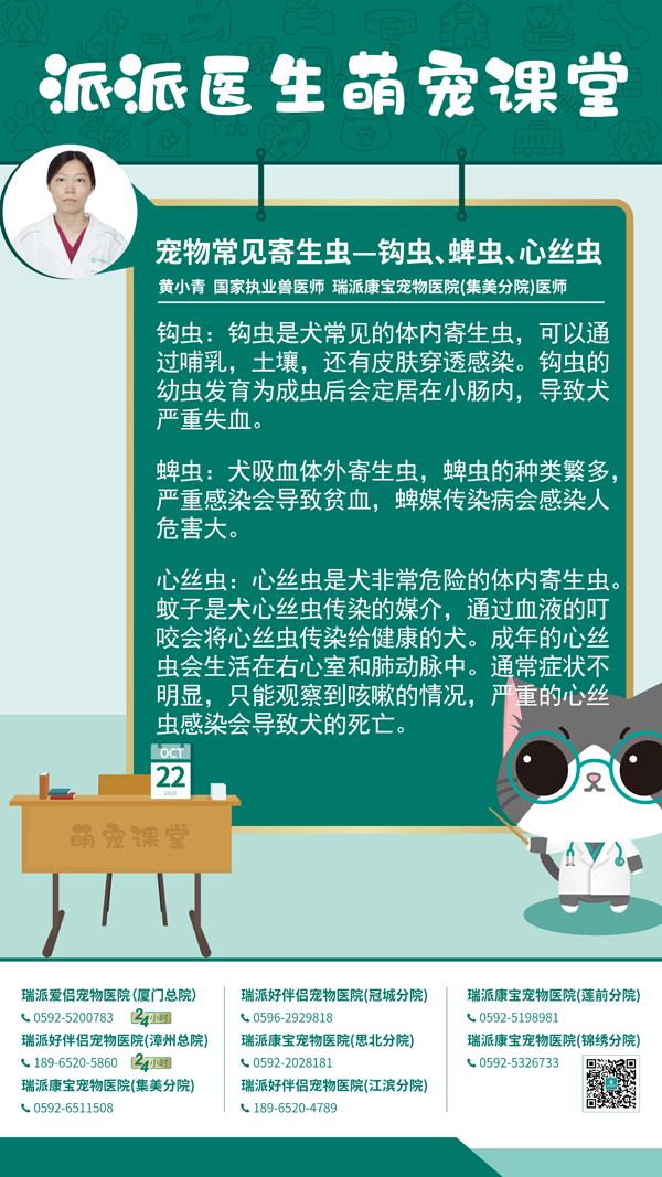 201022宠物常见寄生虫—钩虫、蜱虫、心丝虫.jpg