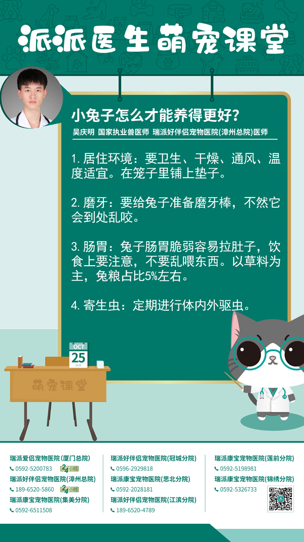 201025小兔子怎么才能养得更好？.jpg