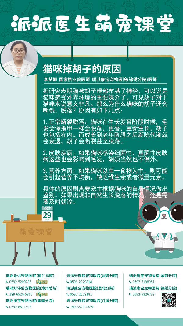 201029猫咪掉胡子的原因.jpg
