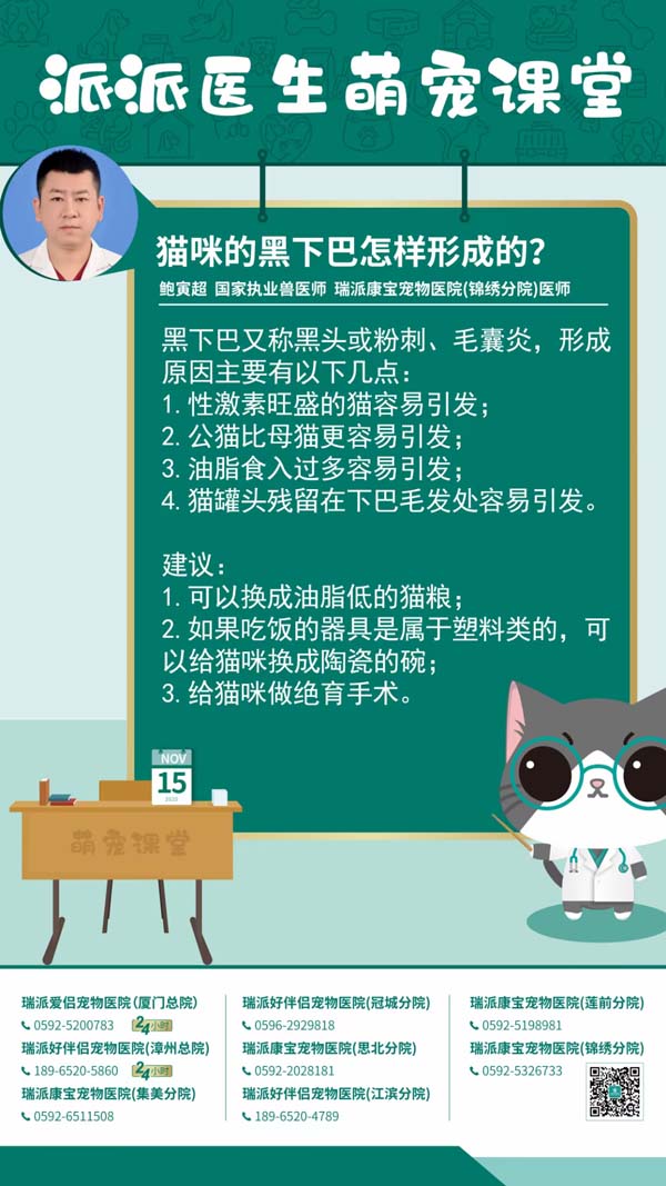 201115猫咪的黑下巴怎样形成的？.jpg