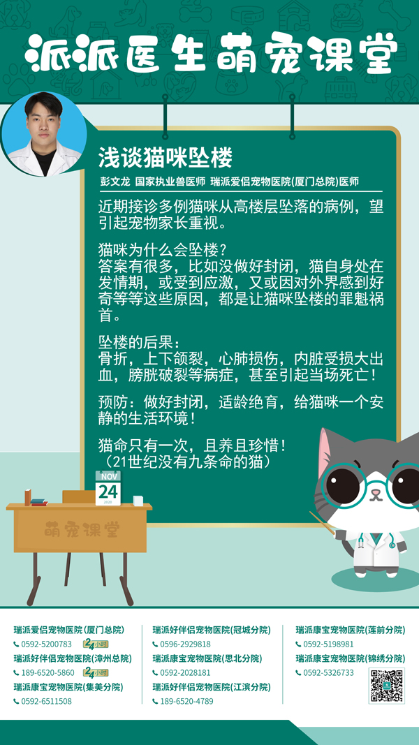 201124浅谈猫咪坠楼.jpg