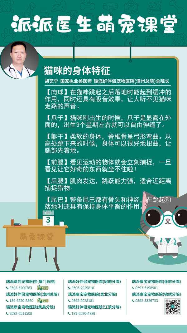 201203猫咪的身体特征.jpg