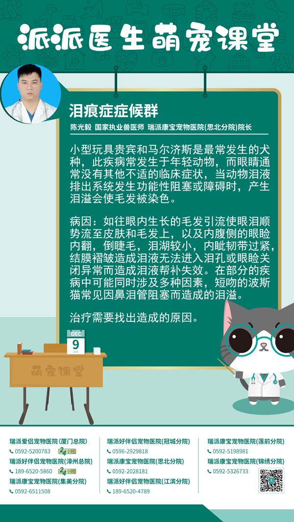 201209泪痕症症候群.jpg