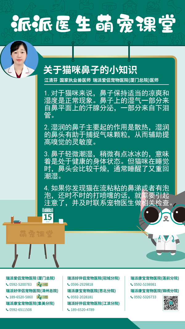 201215关于猫咪鼻子的小知识.jpg