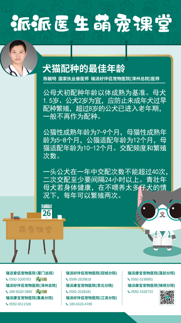 201226犬猫配种的最佳年龄.jpg