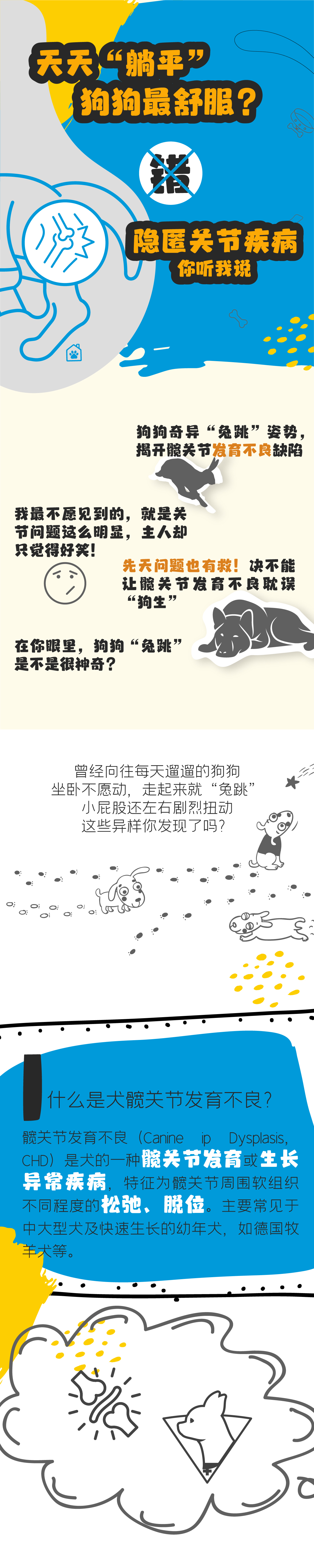 犬髋关节发育不良_1.jpg