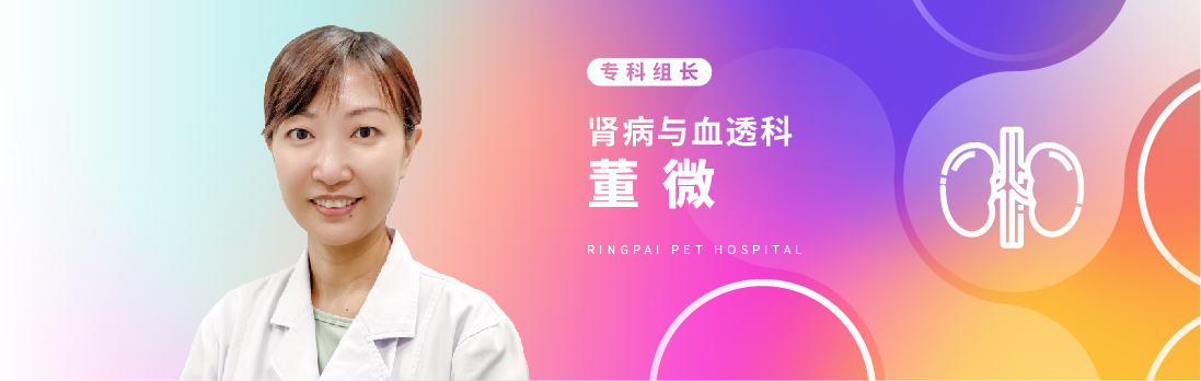 肾病与血透科-董微.jpg