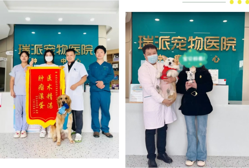 微信截图_20250313141243.png