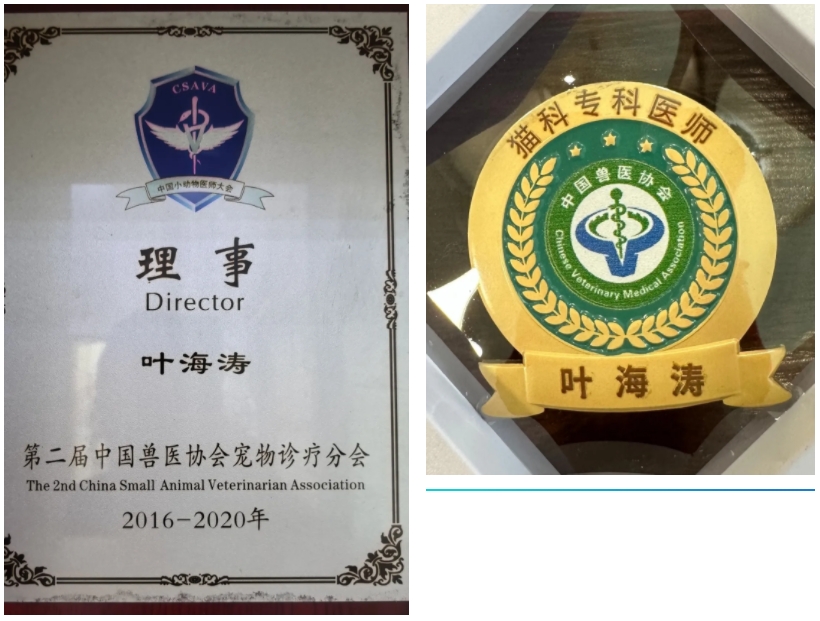 微信截图_20241224155809.png