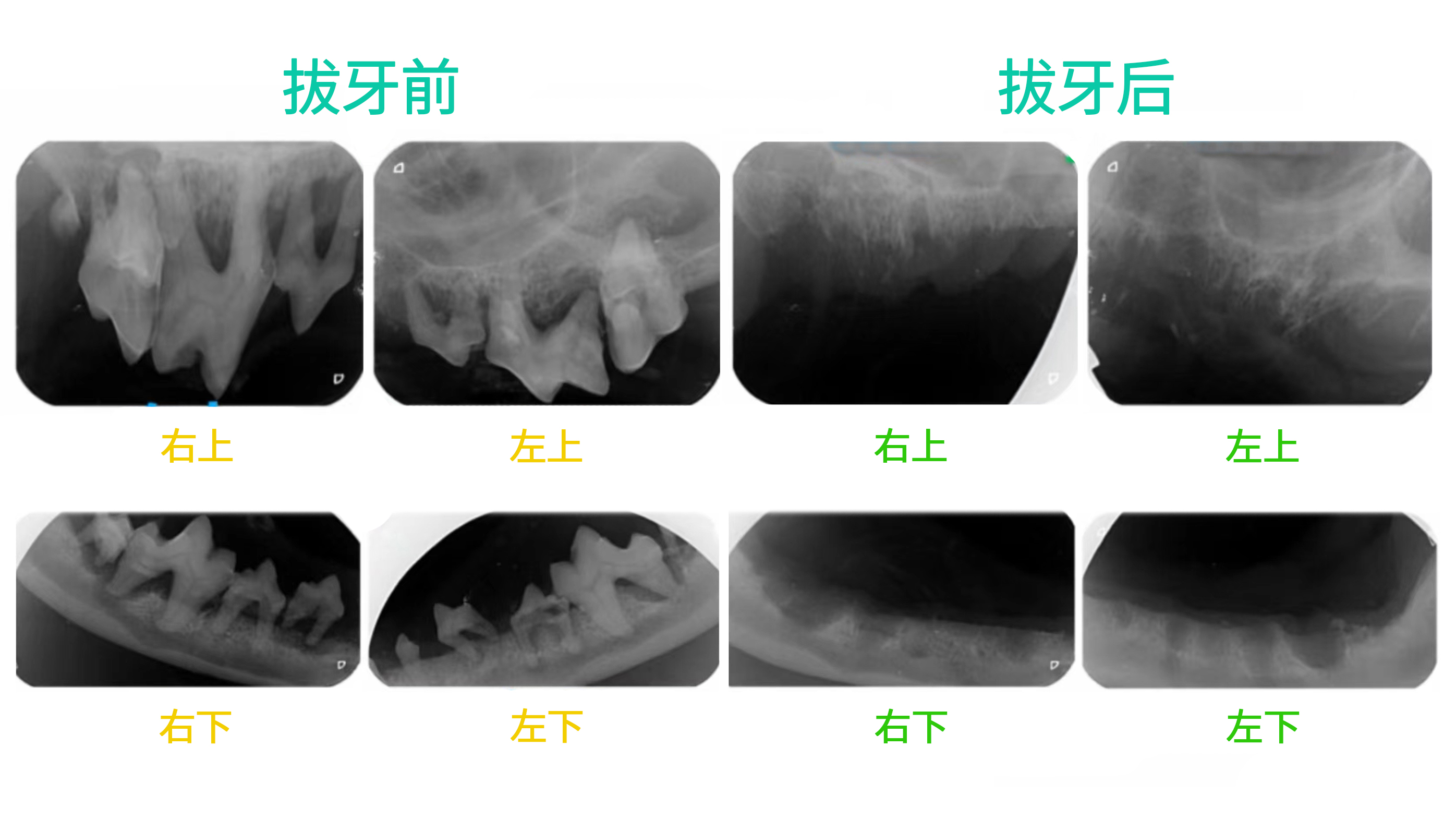 微信图片_20240227101630.jpg