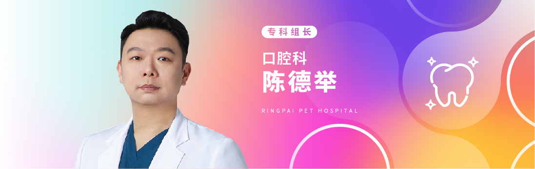 口腔科-陈德举.jpg